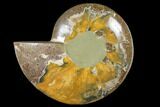 Wide Polished Fossil Ammonite Dish - Inlaid Ammonite #133251-2